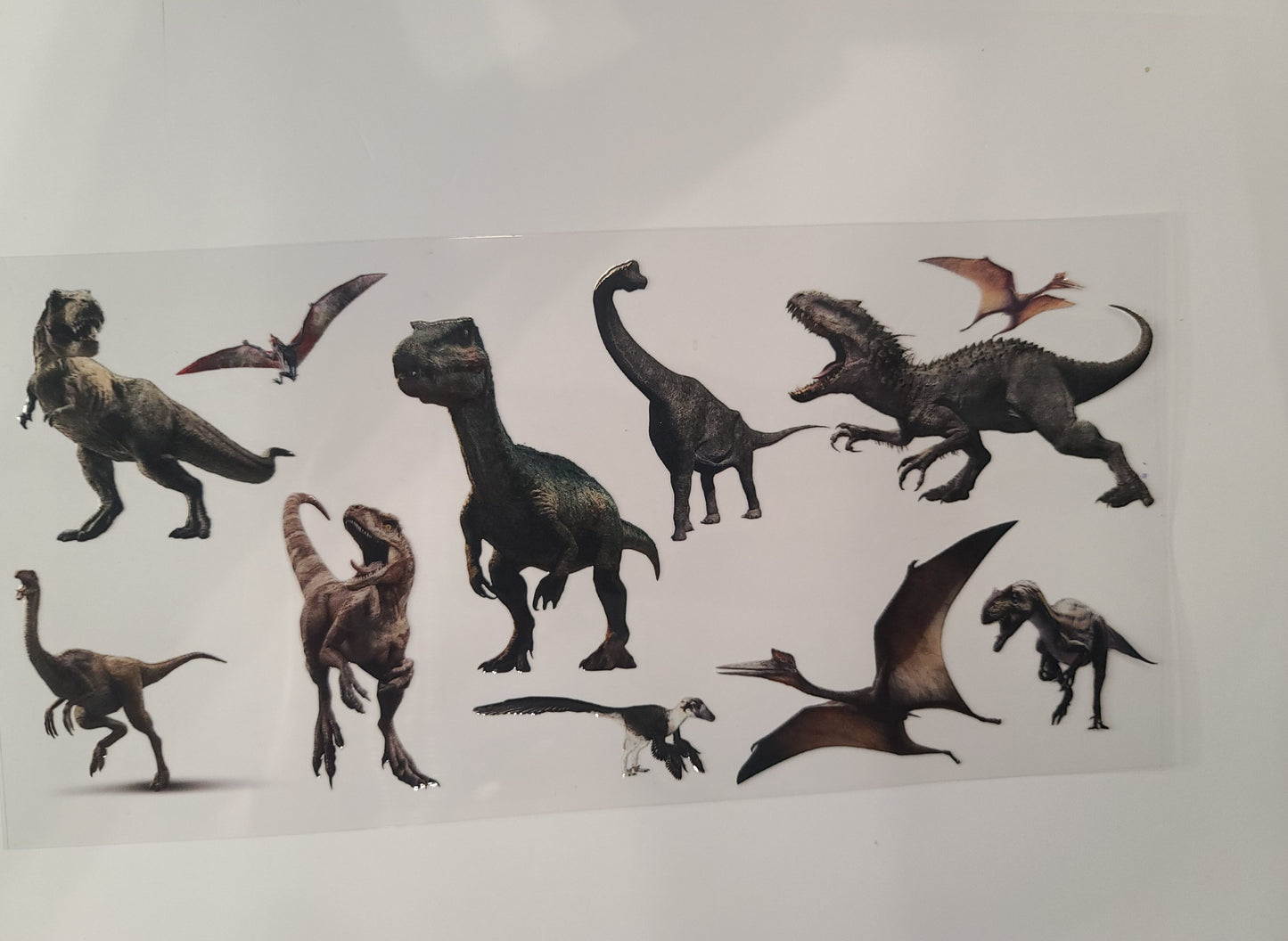 Dinosaurs