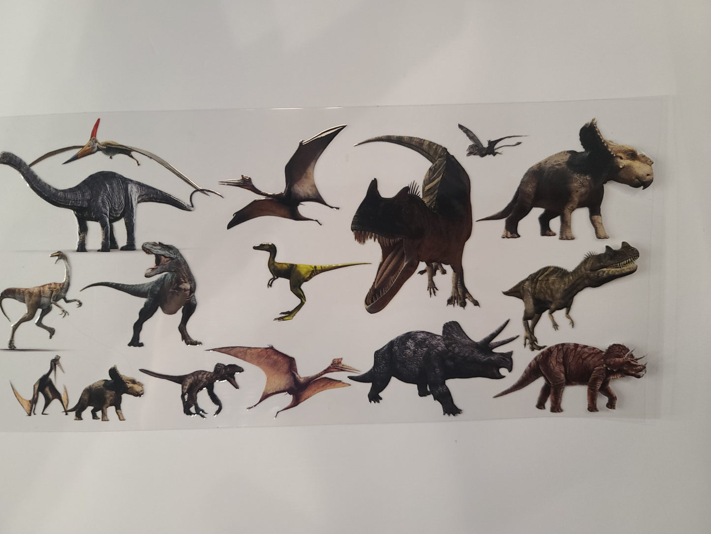 Dinosaurs