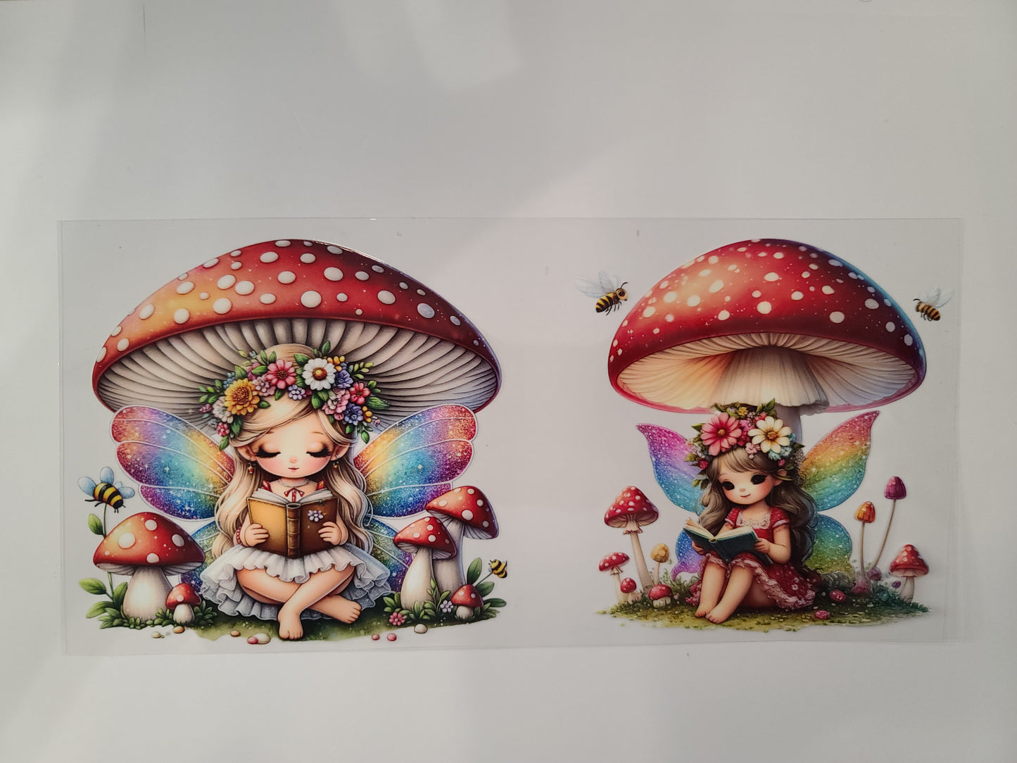 Reading Fairy