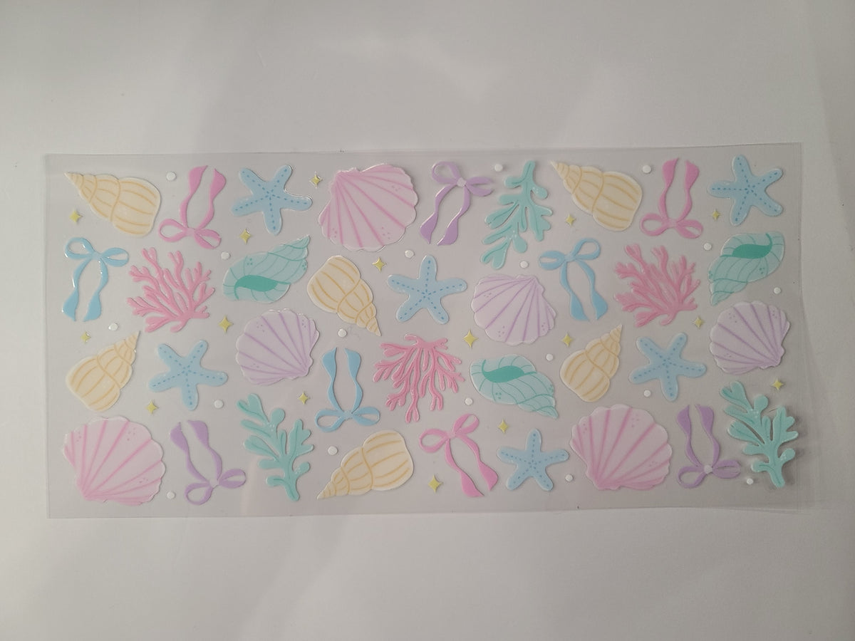 Seashells Coral Ocean