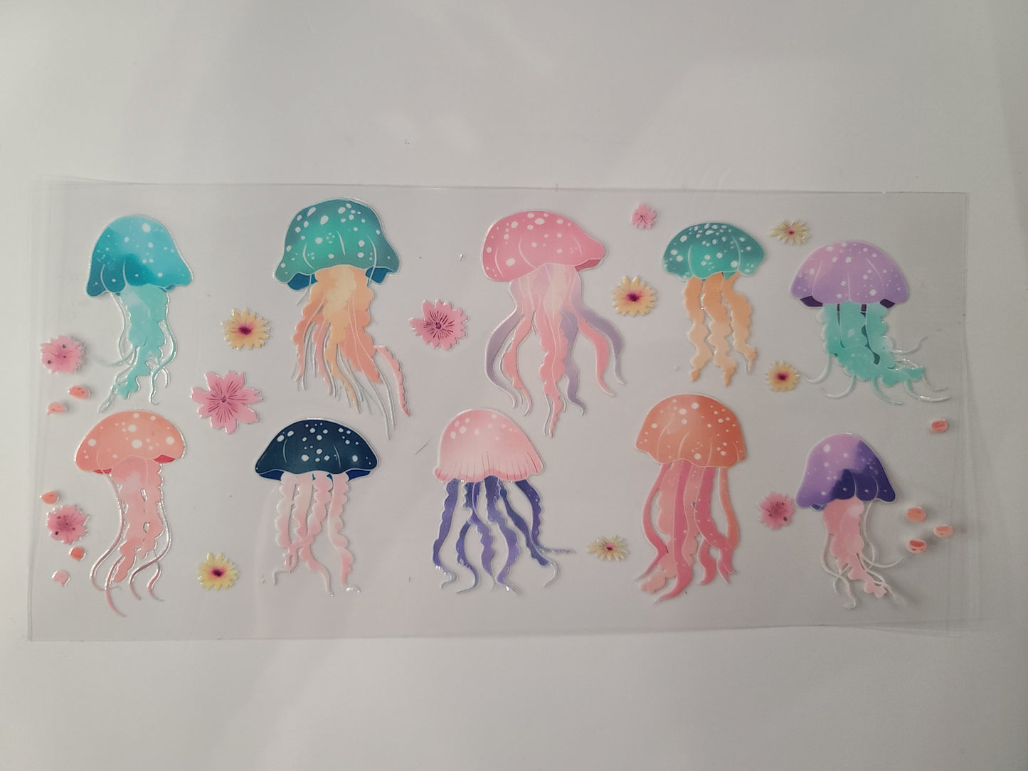Jellyfish