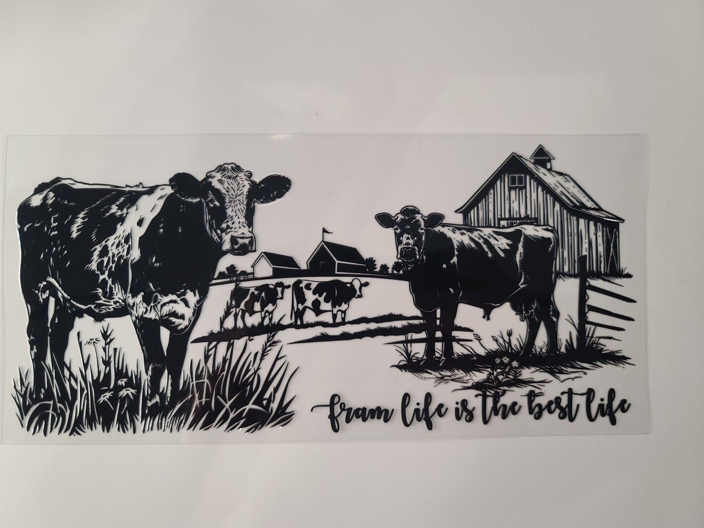 Farm Life...Cows
