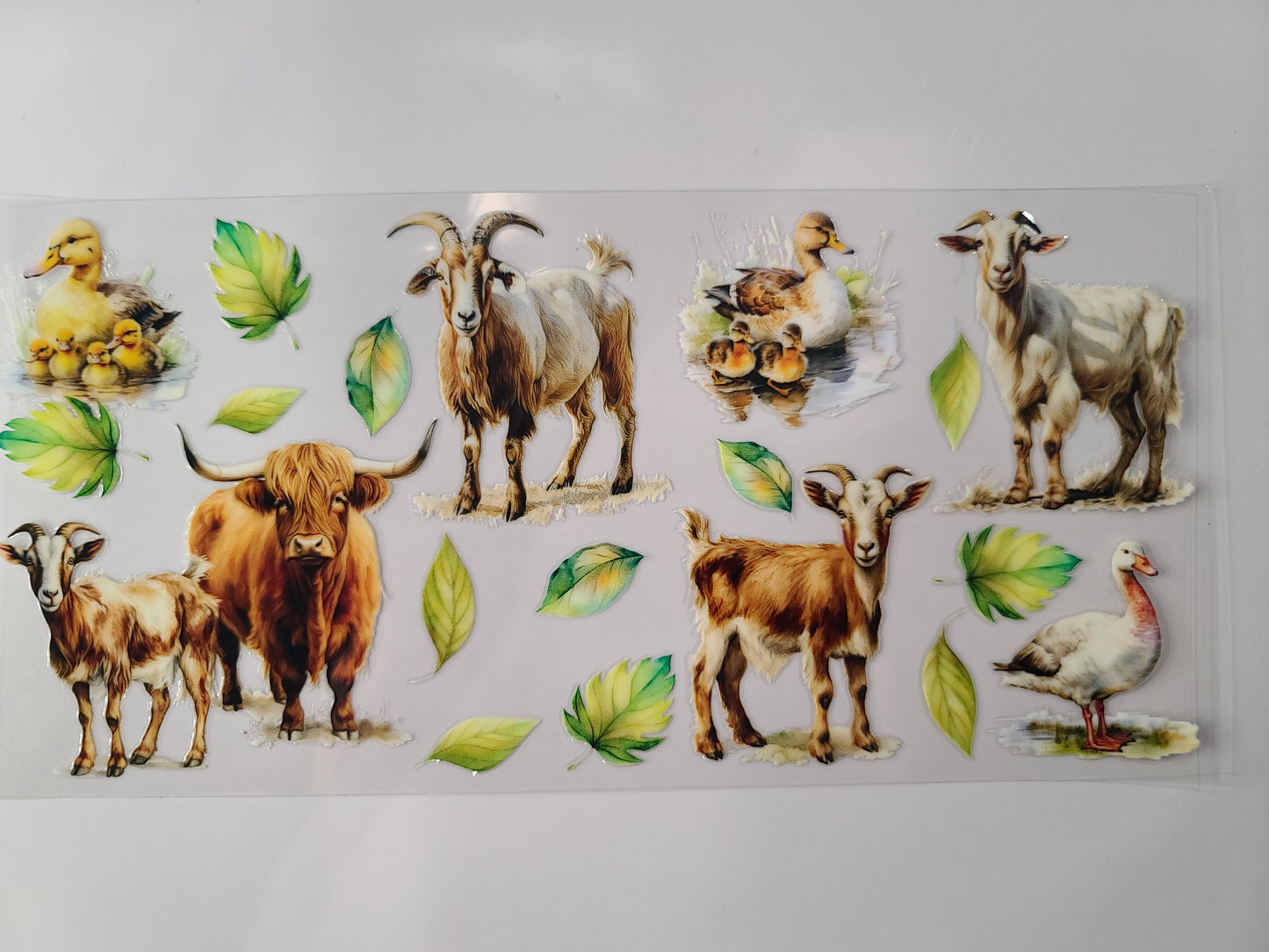 Farm Animals