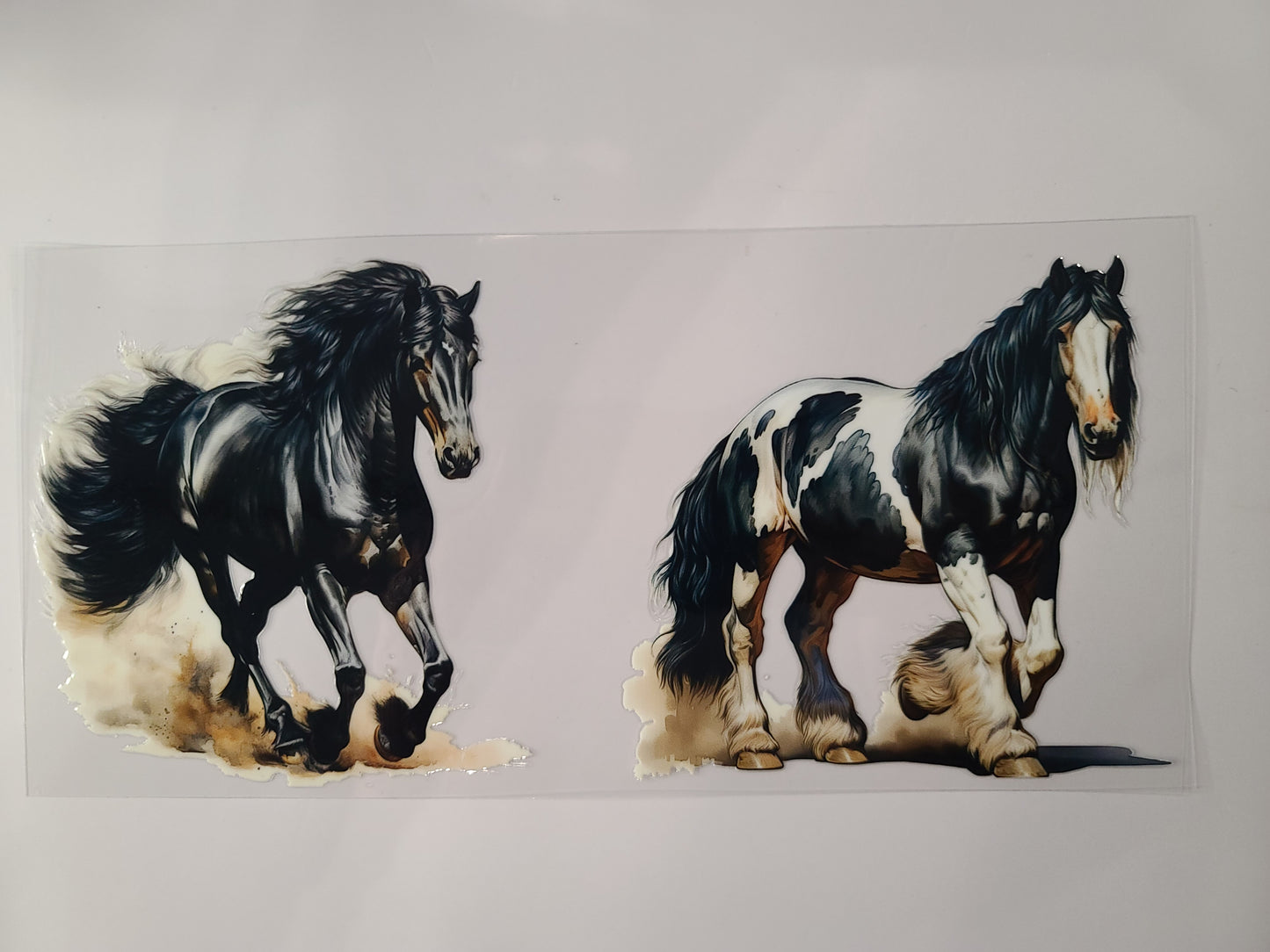 Horses