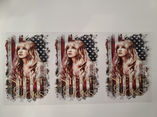 Stevie Nicks American Flag