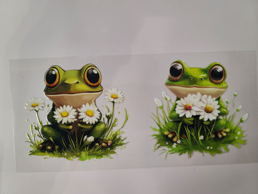 Frog Daisies
