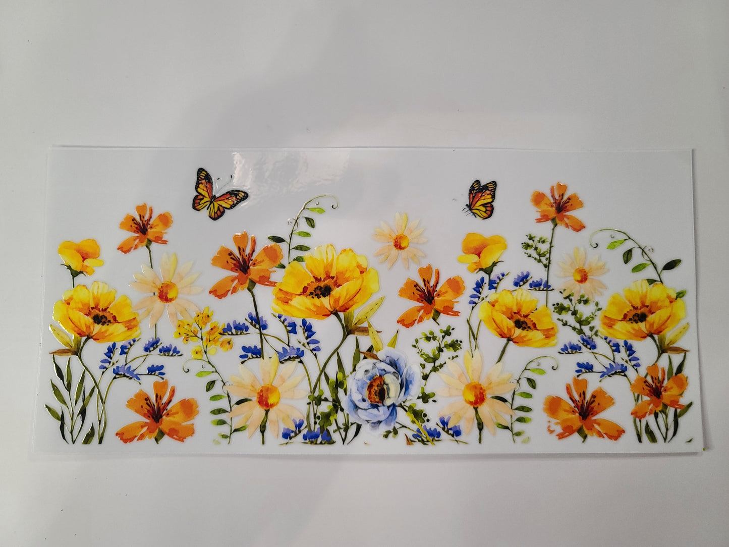 Flowers and Butterflies