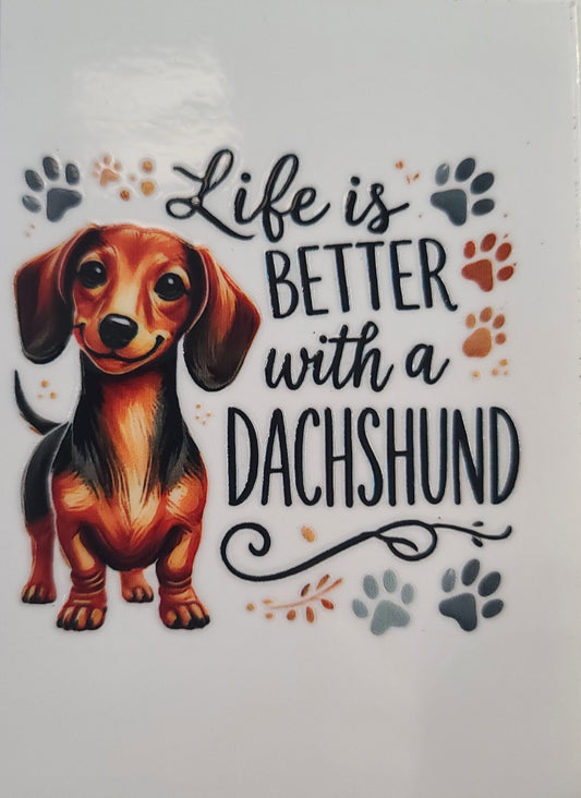 Dachshund