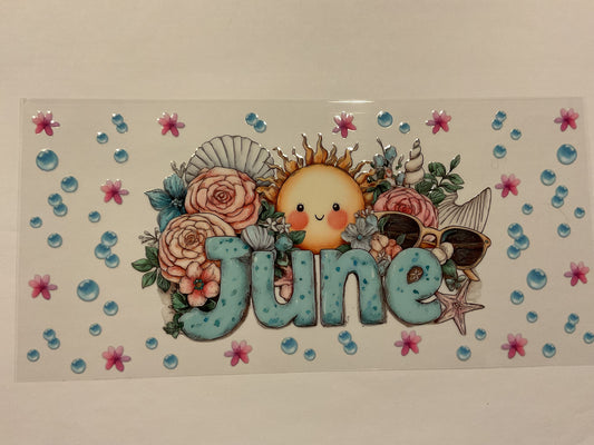 June Seasonal Flowers Seashells Sunshine
