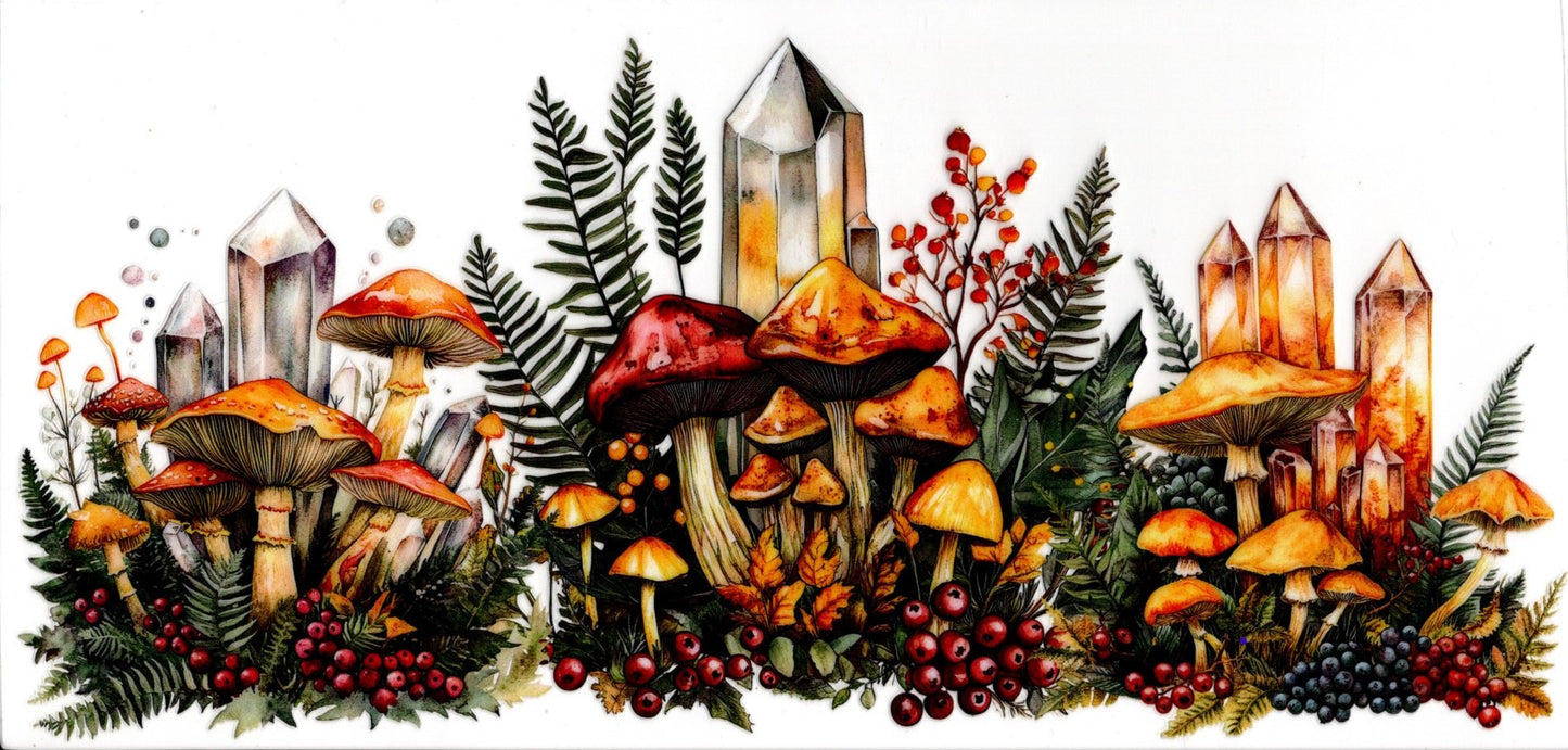 Mushrooms and Crystals