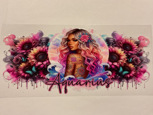 Aquarius Zodiac