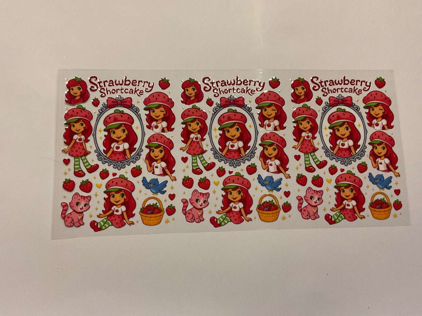 Strawberry Shortcake Cat Bird