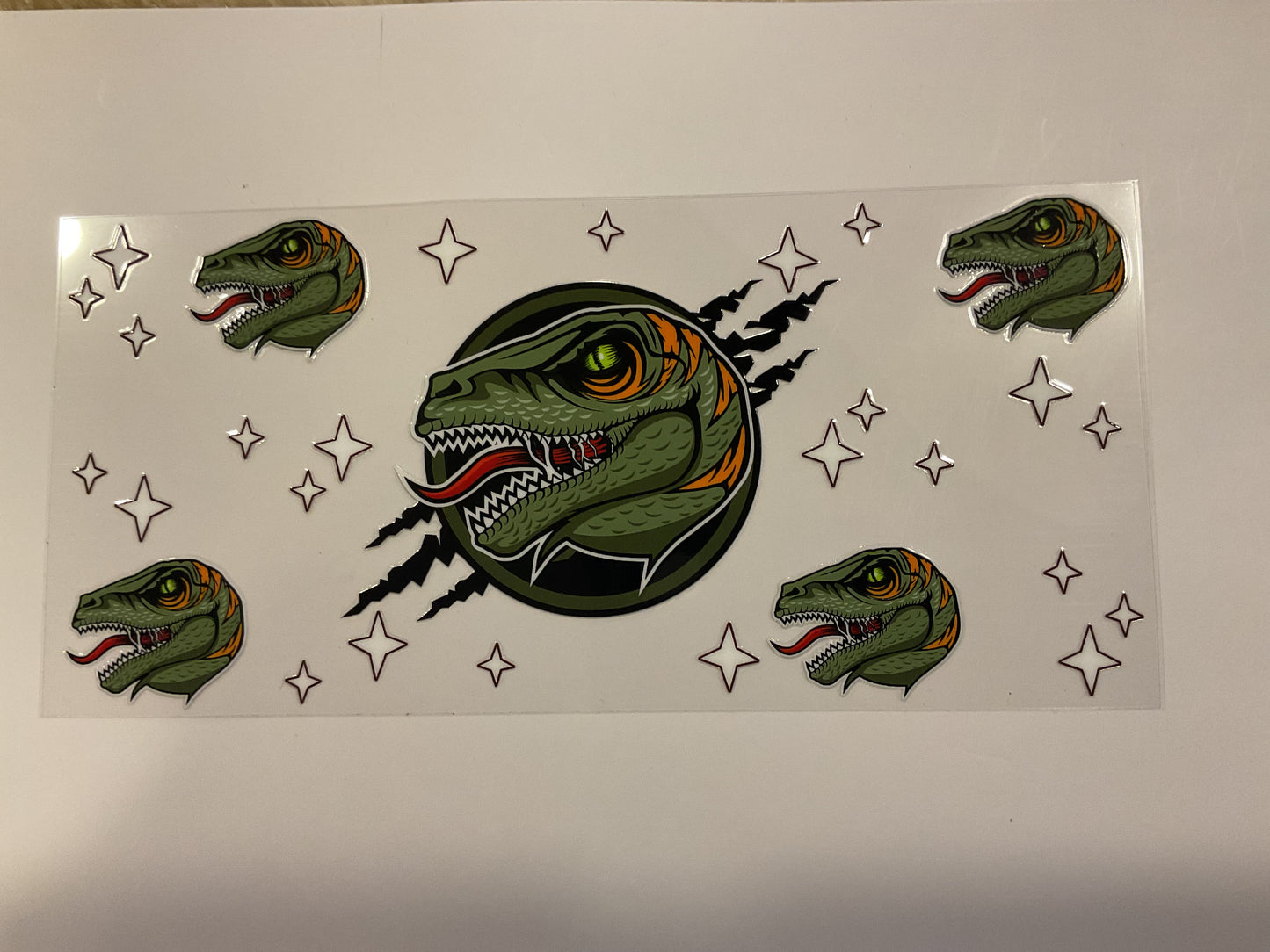 Boys Dinosaurs