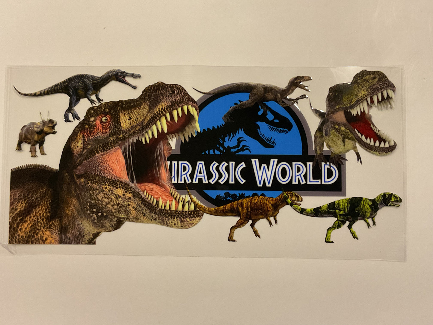 Jurassic World (Boys)