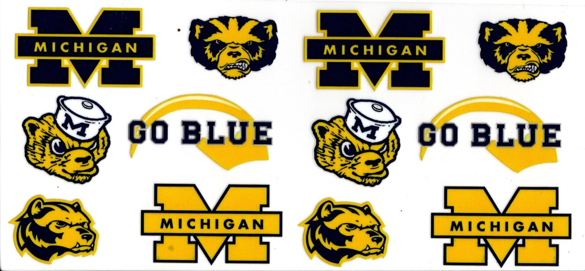 Michigan State University