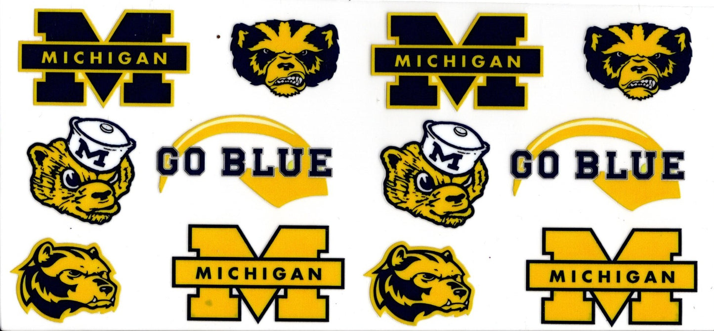 Michigan State University