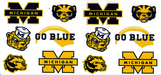 Michigan State University