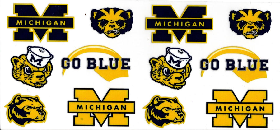 Michigan State University