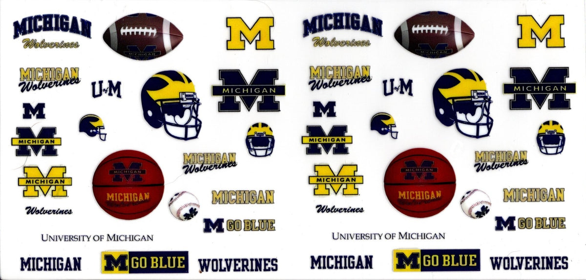 Michigan State Football