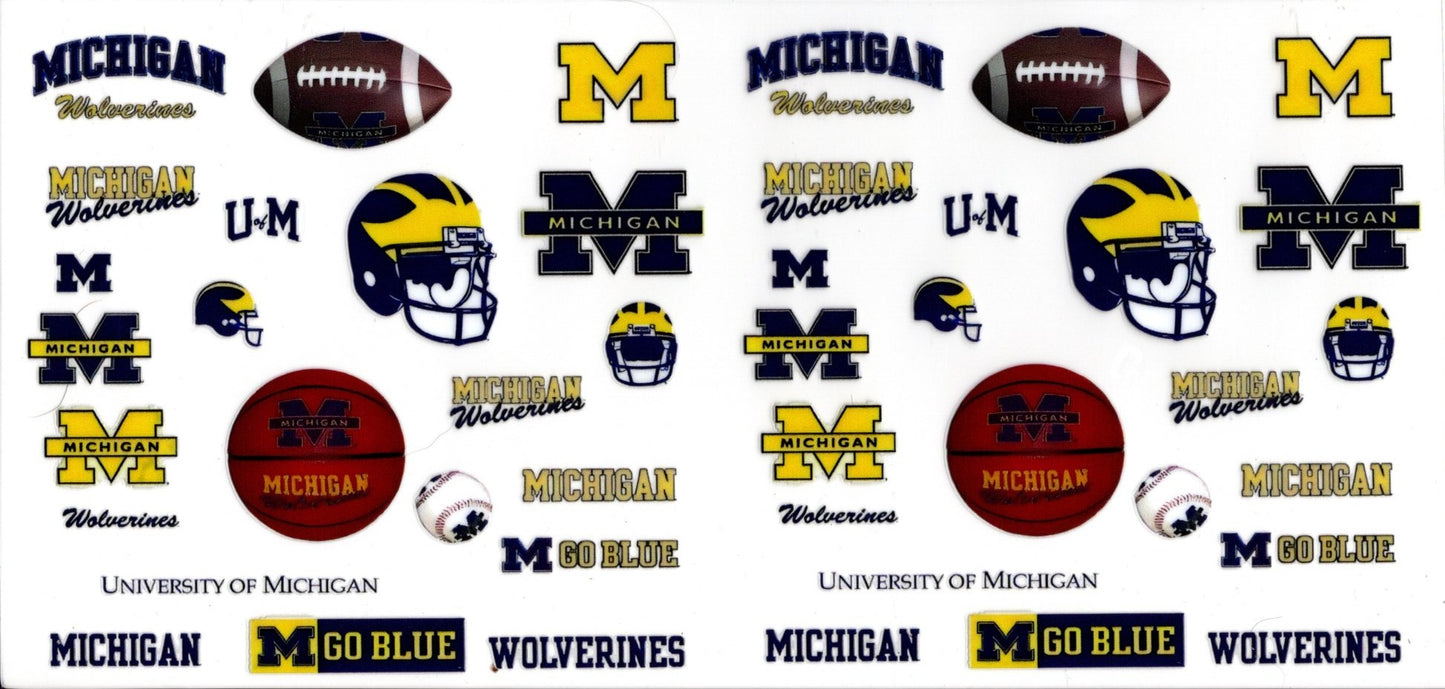 Michigan State Football