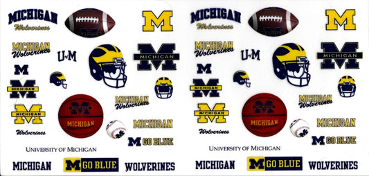 Michigan State Football