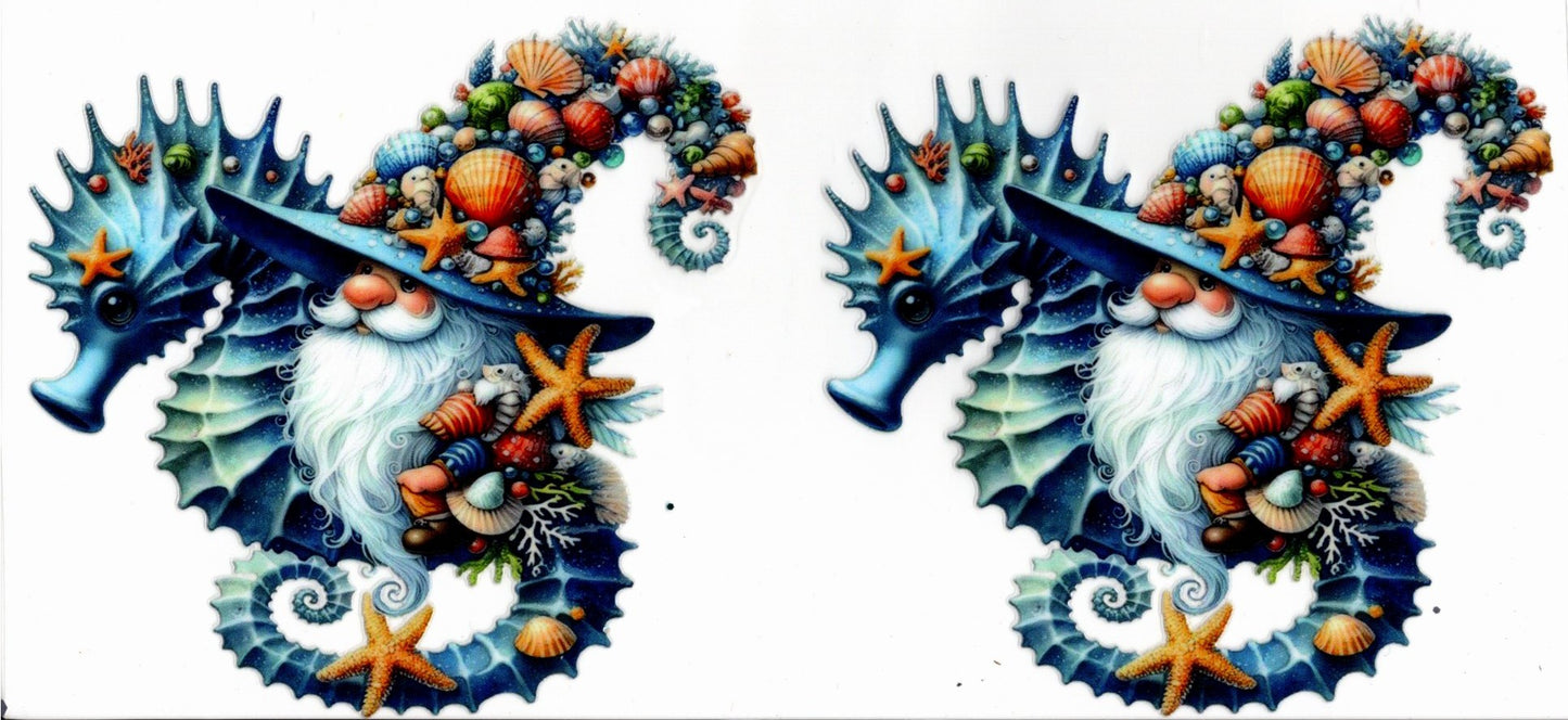 Seahorse Gnome