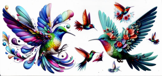 Colorful Hummingbird