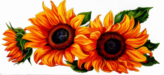 Large Sunflowers