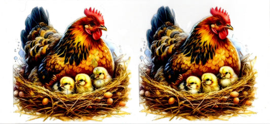 Hen and Chicks