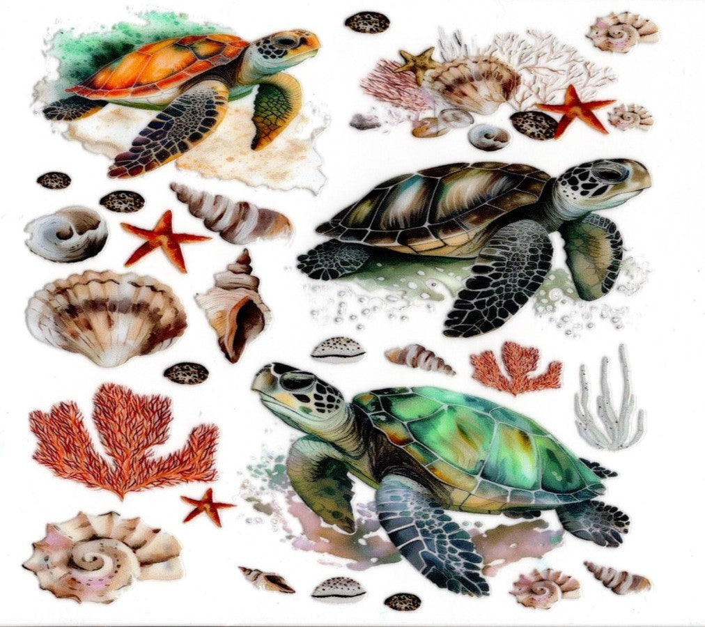 Turtles Seashells