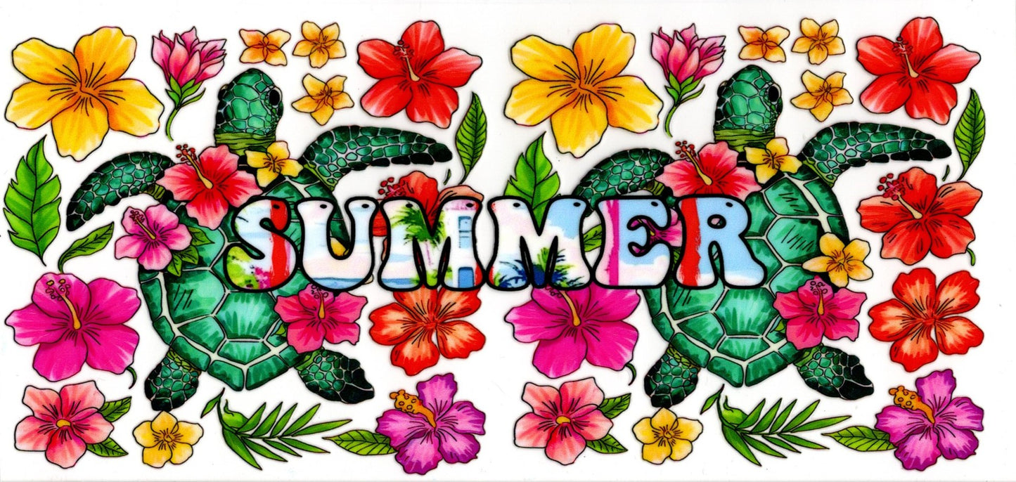 Summer Turtles