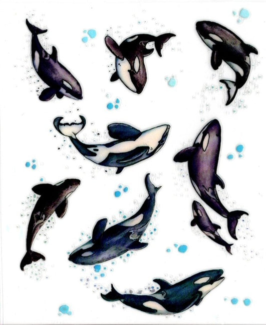 Orca Whales
