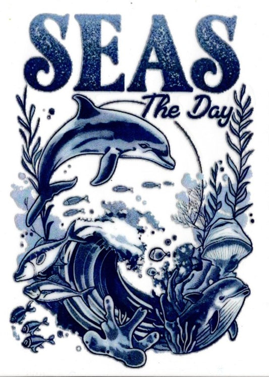 Seas The Day Dolphins