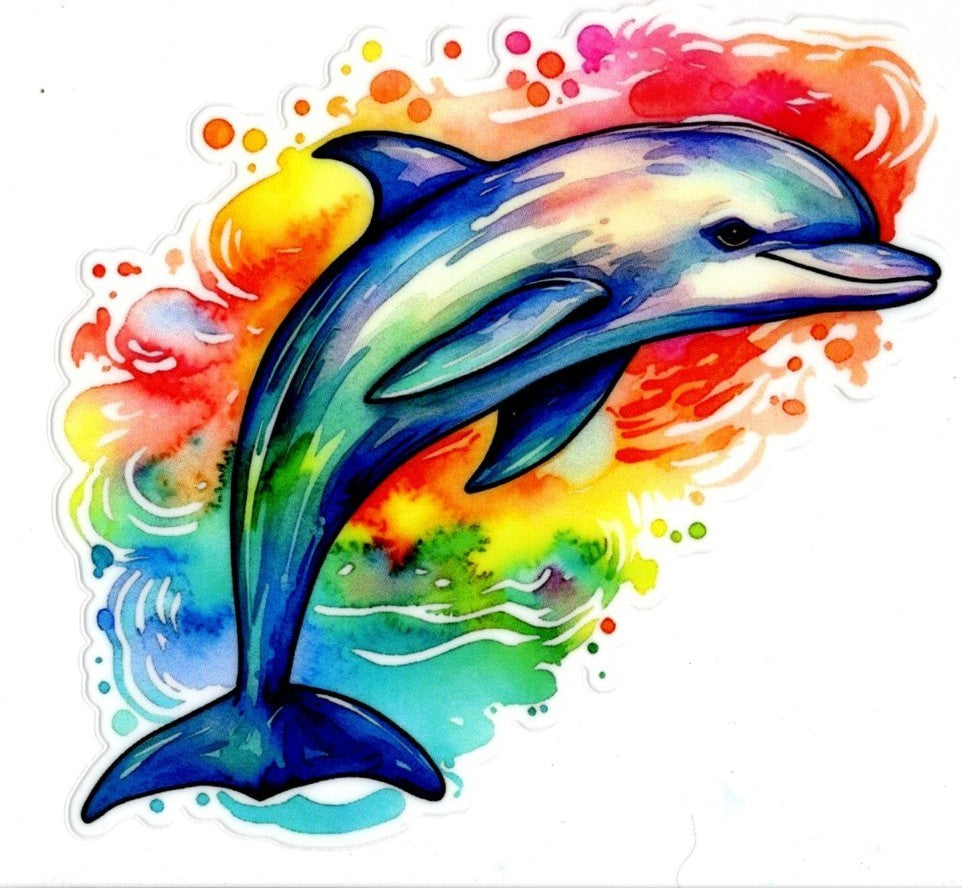 Colorful Dolphin