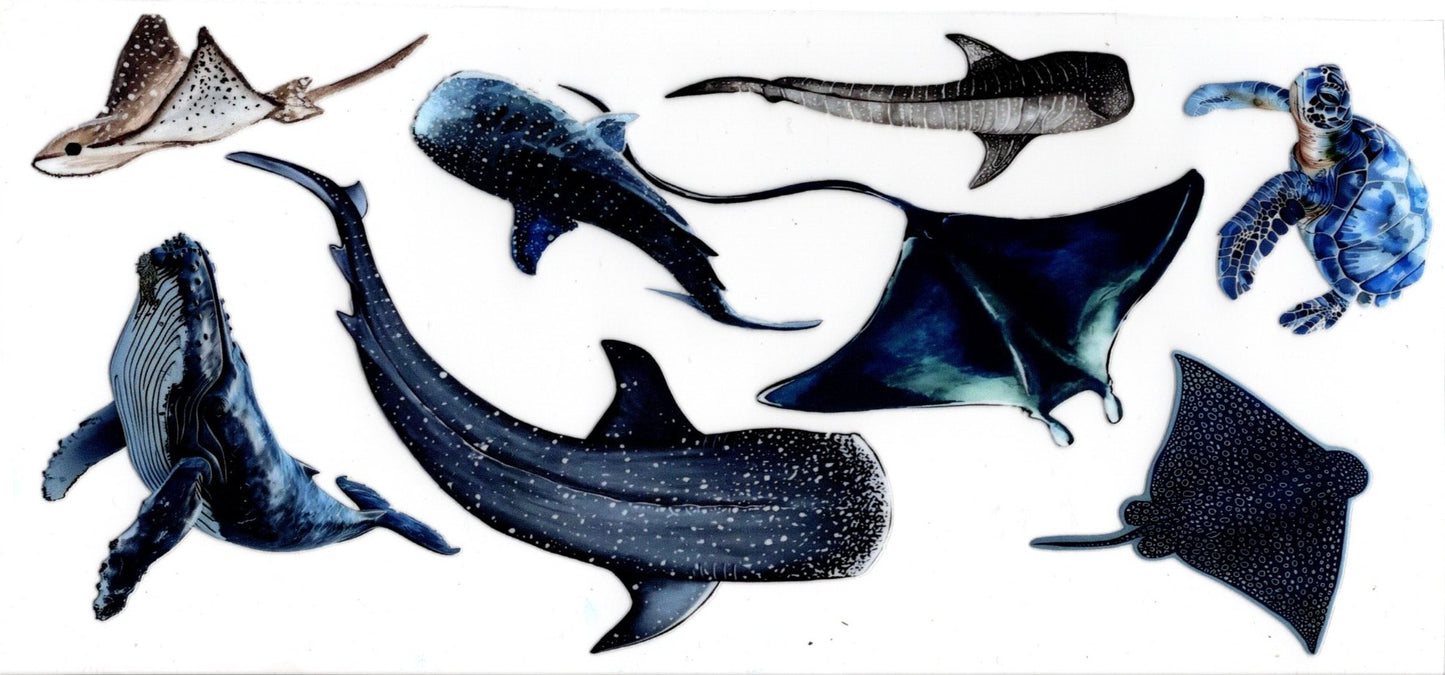 Ocean Life