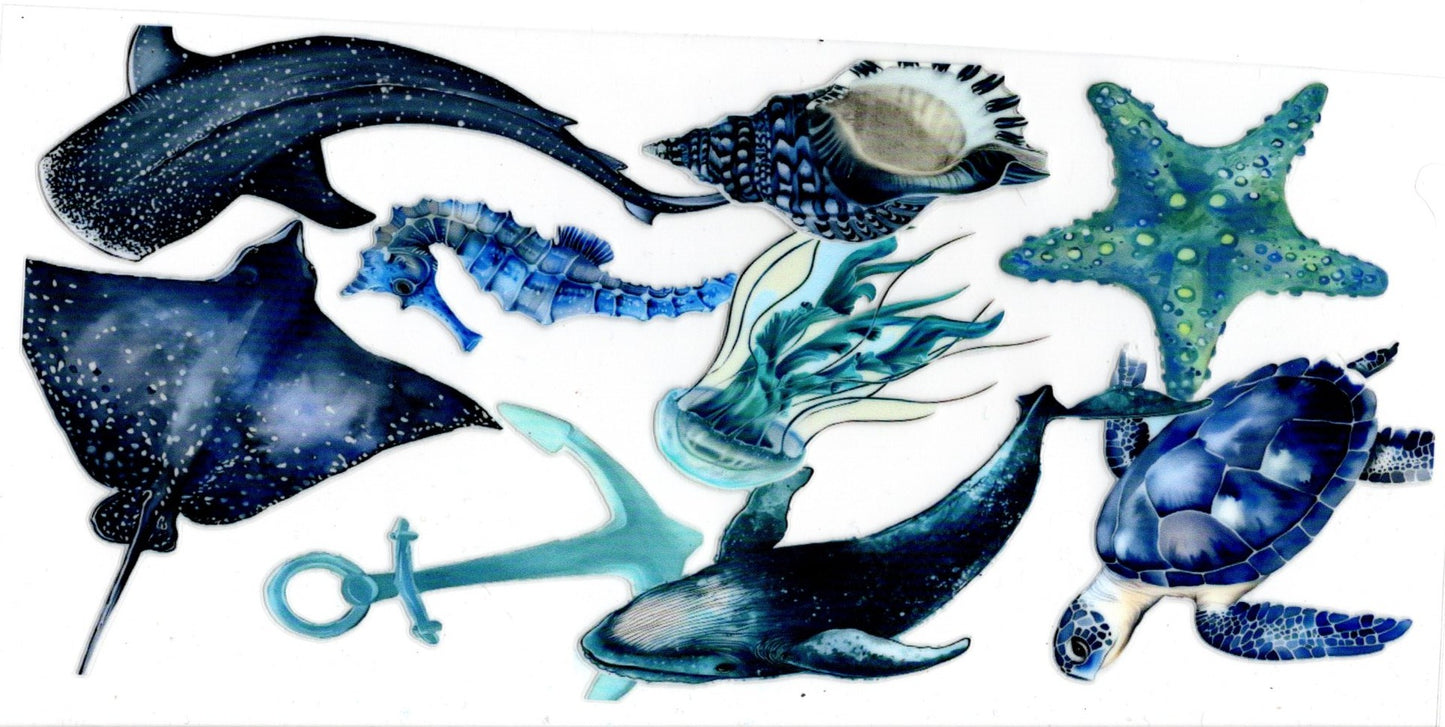 Ocean Life With Anchor
