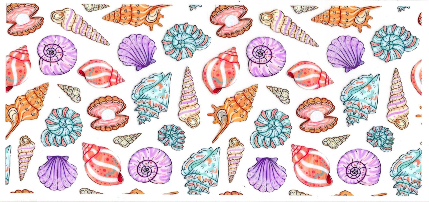 Pastel Colored Seashells