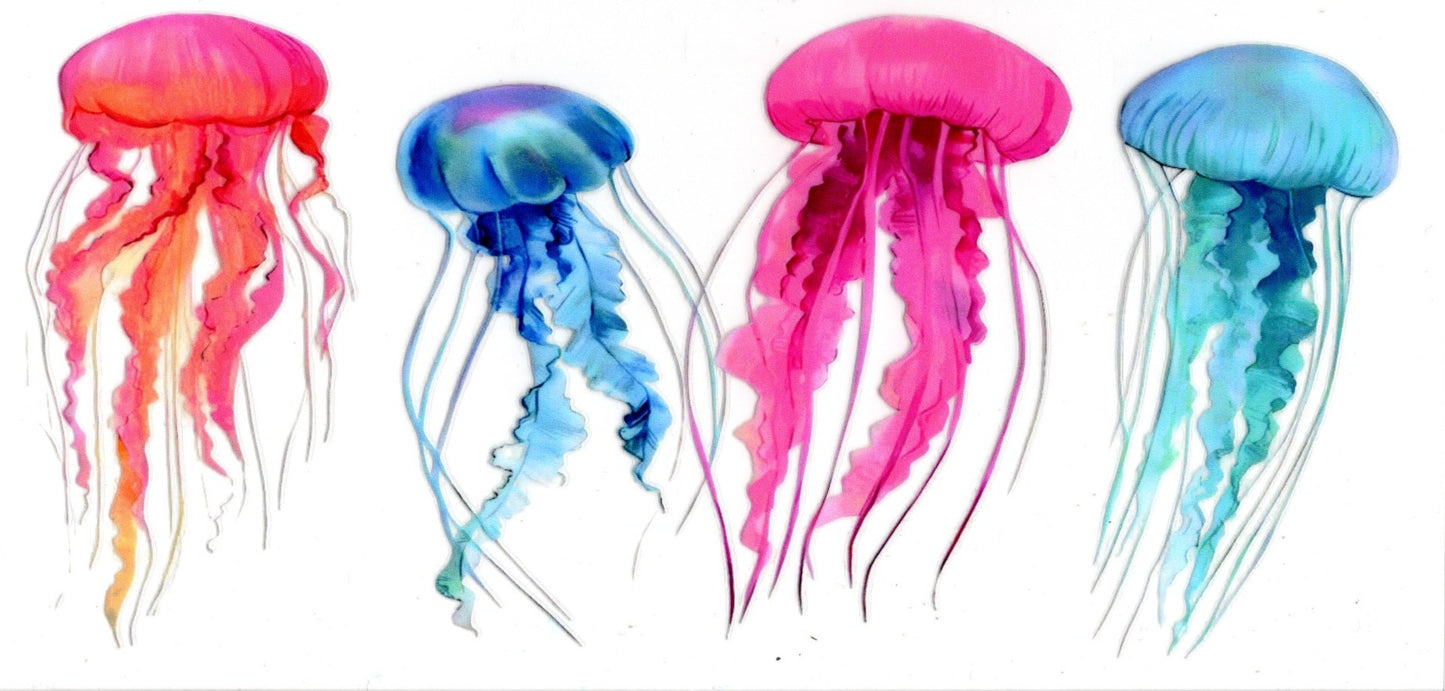 Colorful Jellyfish