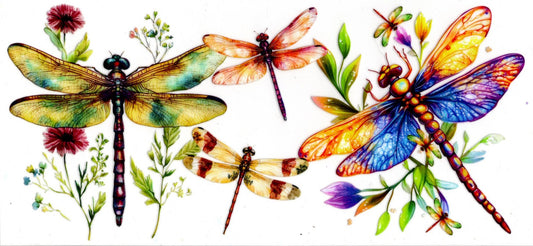 Dragonflies