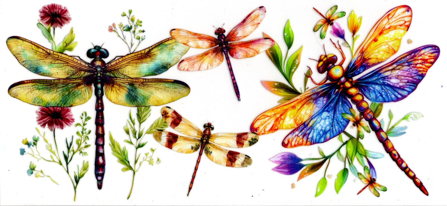 Dragonflies
