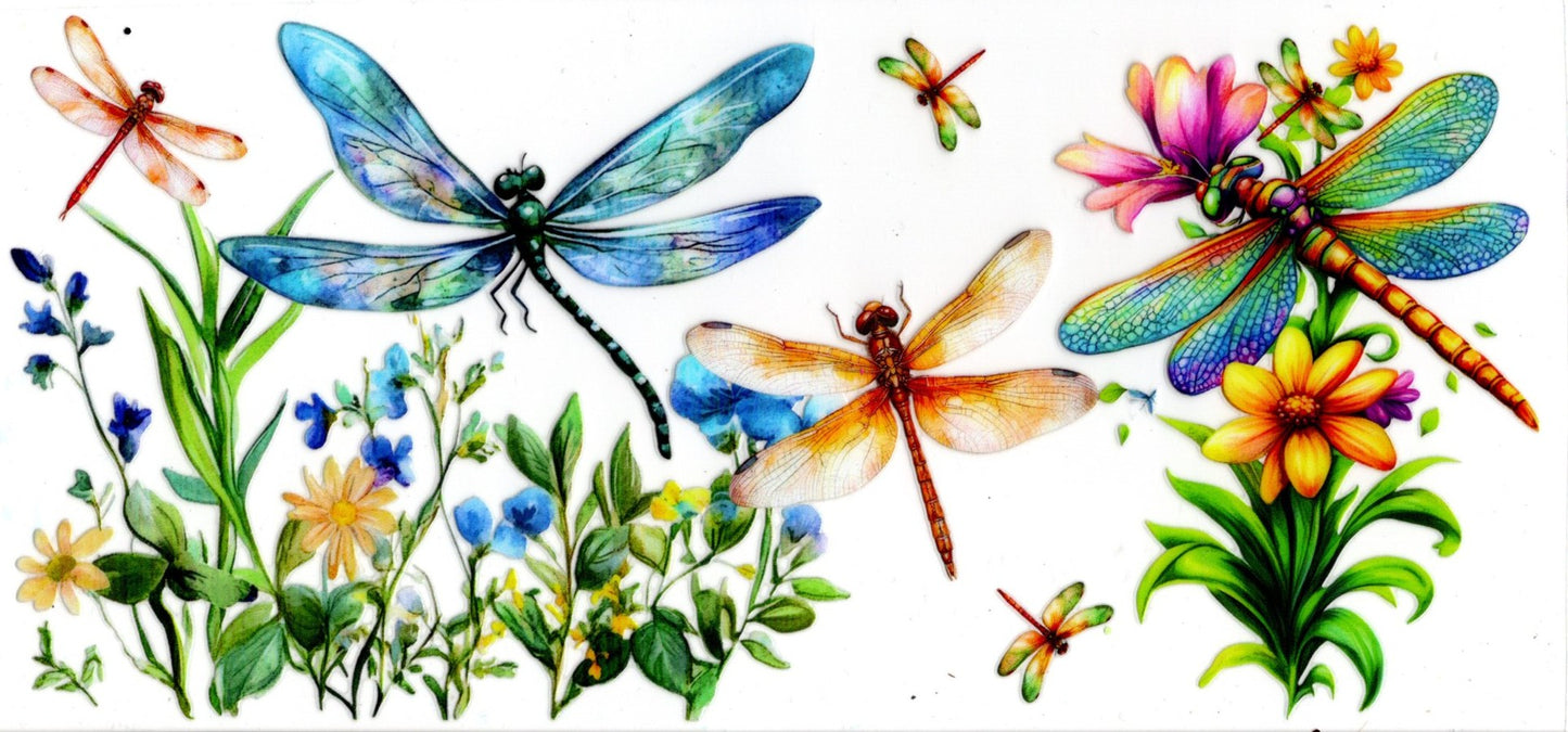 Dragonflies