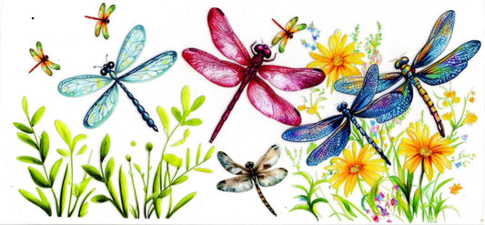 Dragonflies