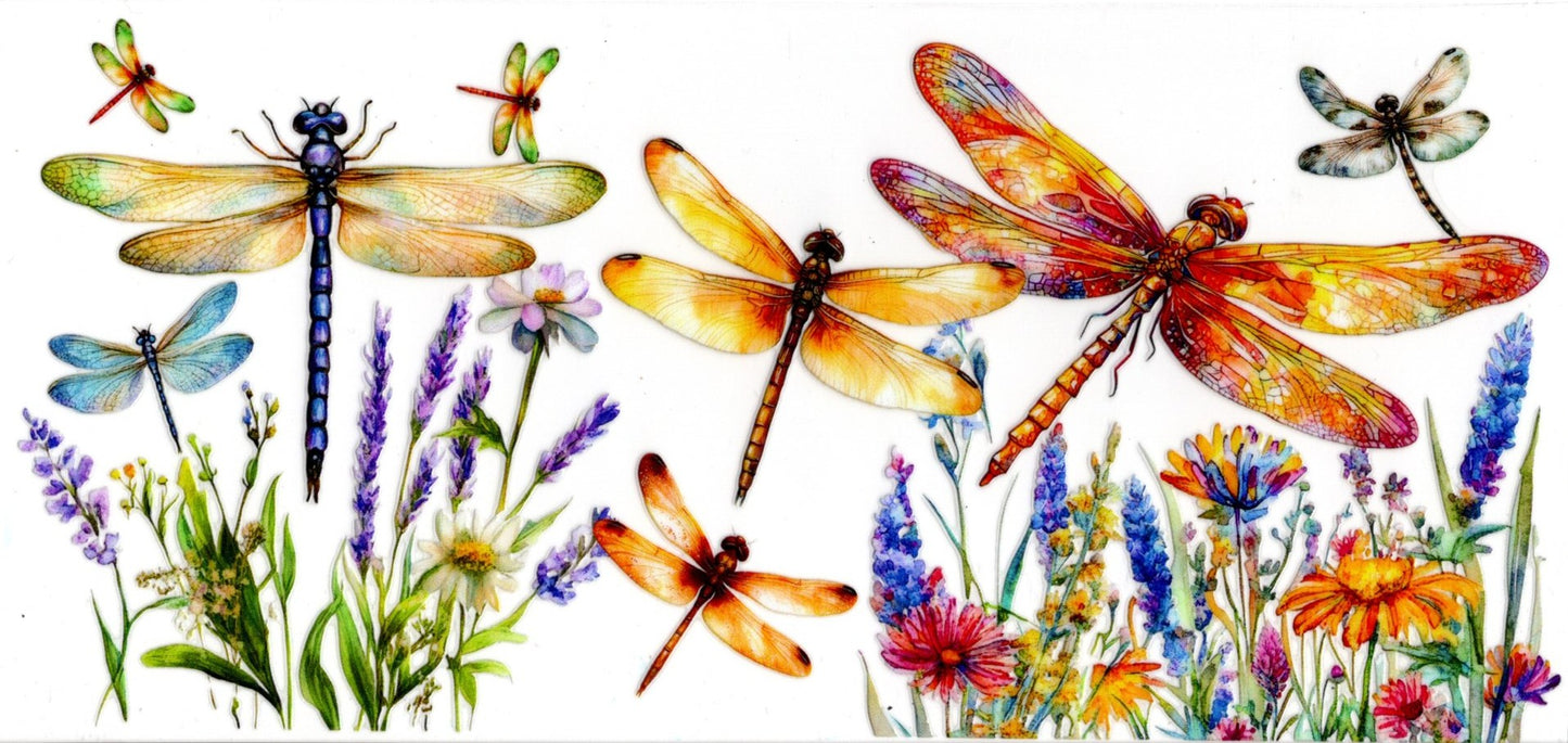 Dragonflies