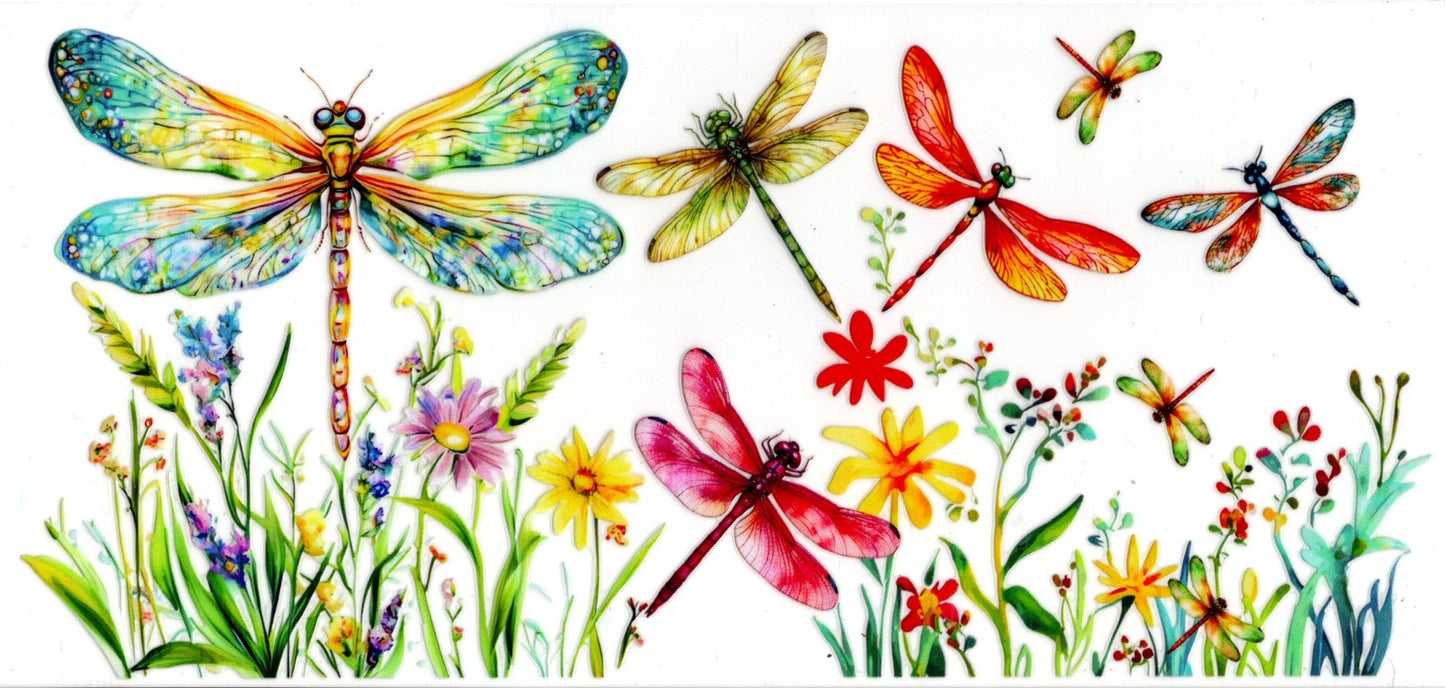 Dragonflies
