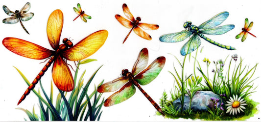 Dragonflies