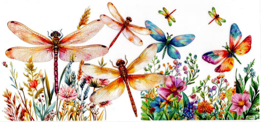 Dragonflies