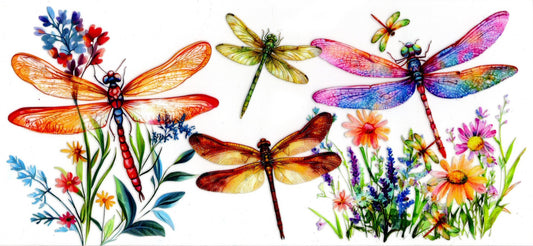 Dragonflies