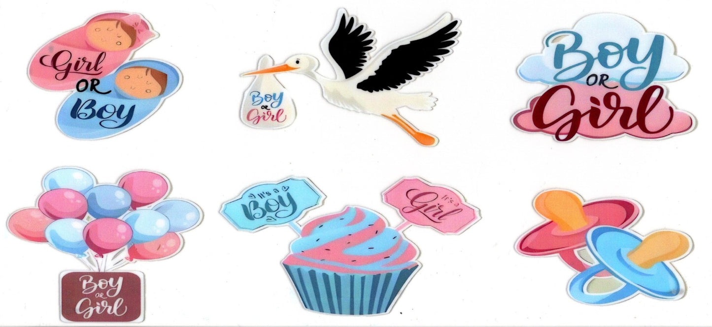 Gender Reveal Boy or Girl