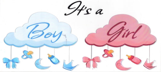 Gender Reveal Boy or Girl