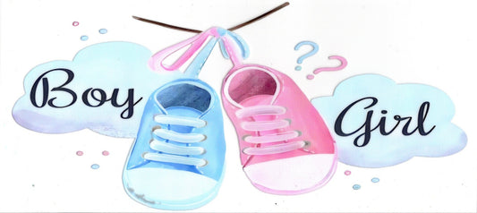 Gender Reveal Boy or Girl